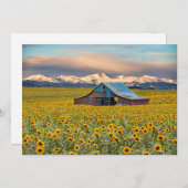 農場 |ひまわり畑サンキューカード サンキューカード (正面/裏面)