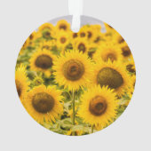 農場 |ひまわり畑 オーナメント (裏面)