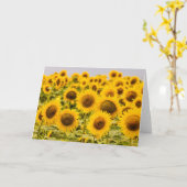 農場 |ひまわり畑 カード (黄色い花)