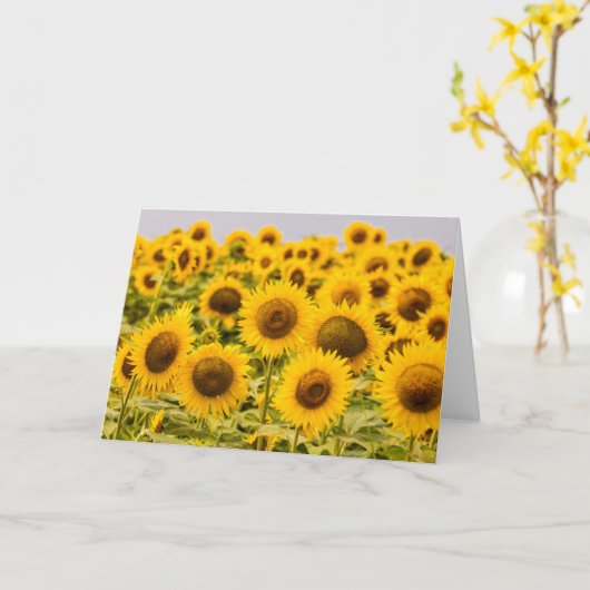 農場 |ひまわり畑 カード (黄色い花)