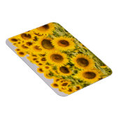 農場 |ひまわり畑 マグネット (右側)