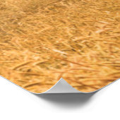 農場 |オールドレッドバーン ポスター (角)