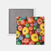 農場 |トマカラフルトハーベスト マグネット (正面/裏面)
