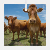 農場 |ブラウンカウグループ ガラスオーナメント (裏面)