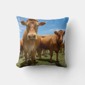 農場 |ブラウンカウグループ クッション (正面)
