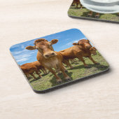 農場 |ブラウンカウグループ コースター (左側)