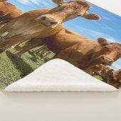 農場 |ブラウンカウグループ シェルパブランケット (3/4)