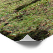 農場 |ブラウンカウグループ ポスター (角)