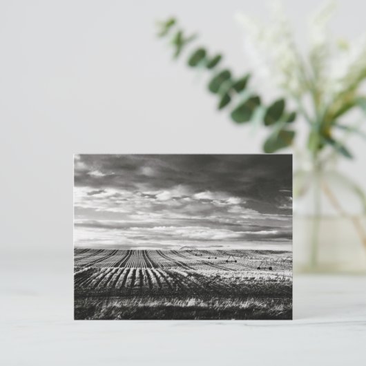 農場 ポストカード (スタンド正面)