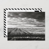 農場 ポストカード (正面/裏面)