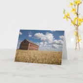 農場 |小麦フィールドの古い赤い納屋 カード (黄色い花)