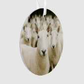 農場 |羊の群れ オーナメント (正面)