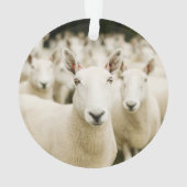 農場 |羊の群れ オーナメント (裏面)