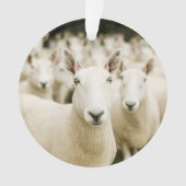 農場 |羊の群れ オーナメント (正面)