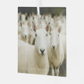 農場 |羊の群れ ガラスオーナメント (正面左)