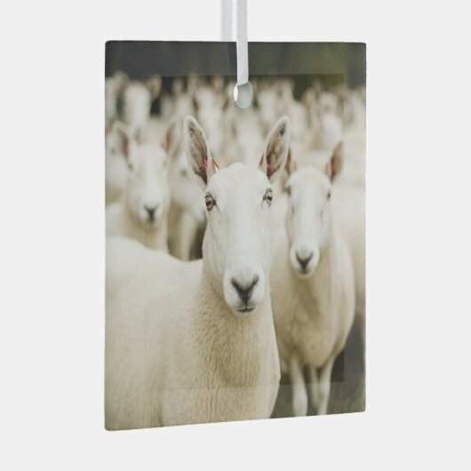 農場 |羊の群れ ガラスオーナメント (正面右)