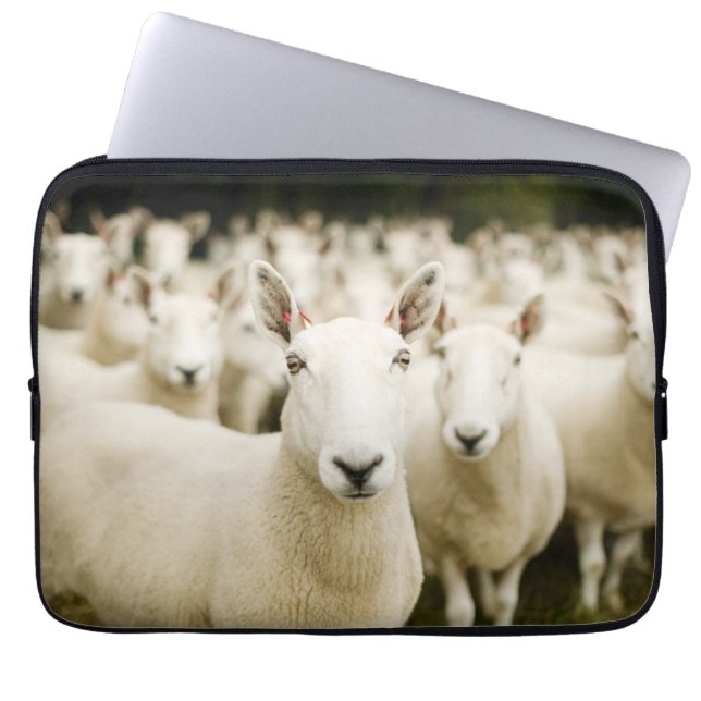 農場 |羊の群れ ラップトップスリーブ (正面)