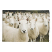 農場 |羊の群れ 枕カバー (裏面)