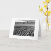 農場、農業労働者、Mt.ウィリアムソン1943年 カード (黄色い花)