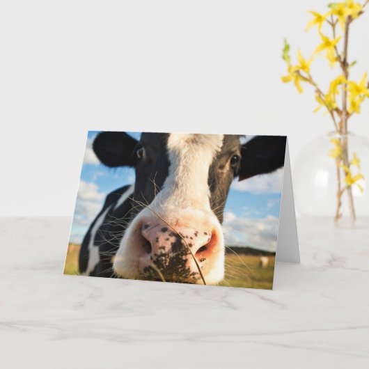 農場 | Holstein Cow Chewing カード (黄色い花)
