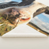 農場 | Holstein Cow Chewing シェルパブランケット (3/4)