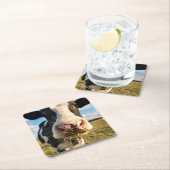 農場 | Holstein Cow Chewing スクエアペーパーコースター (インサイチュ)