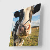 農場 | Holstein Cow Chewing スクエア壁時計 (傾斜)