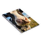 農場 | Holstein Cow Chewing ノートブック (右側)