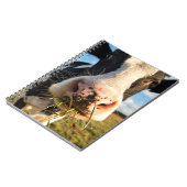 農場 | Holstein Cow Chewing ノートブック (左側)