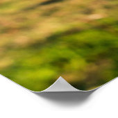 農場 | Holstein Cow Chewing ポスター (角)