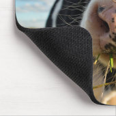 農場 | Holstein Cow Chewing マウスパッド (コーナー)