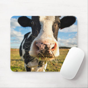 農場   Holstein Cow Chewing マウスパッド
