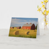 農場 | Red Barns Near Hay Bales カード (黄色い花)