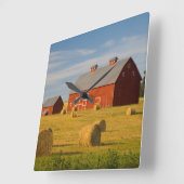 農場 | Red Barns Near Hay Bales スクエア壁時計 (傾斜)