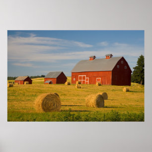 農場 Red Barns Near Hay Bales ポスター