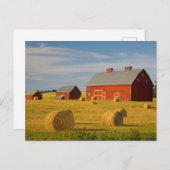 農場 | Red Barns Near Hay Bales ポストカード (正面/裏面)