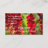 農家のための熟した赤いフルーティーのカラントなアンサンブル 名刺 (裏面)