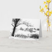 農家のクリスマス カード (黄色い花)