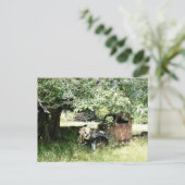 農家のジャンキー・トラックの錆び遠くに ポストカード (スタンド正面)