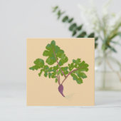 農家のラディッシュカブ植物ガーデニング (スタンド正面)