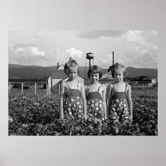 農家の娘， 1939 ポスター (正面)