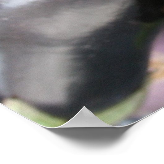 農家の市場選択紫のナス ポスター (角)