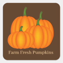 農家の新鮮なカボチャのベンダーのワードアート スクエアシール