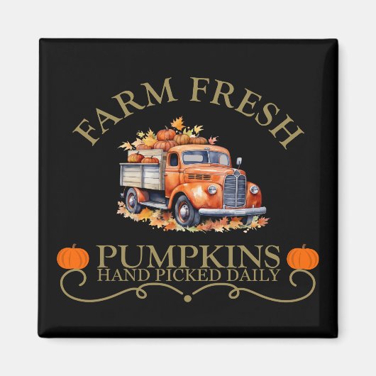 農家の新鮮な水の色のカボチャ離れの秋秋 マグネット (正面)