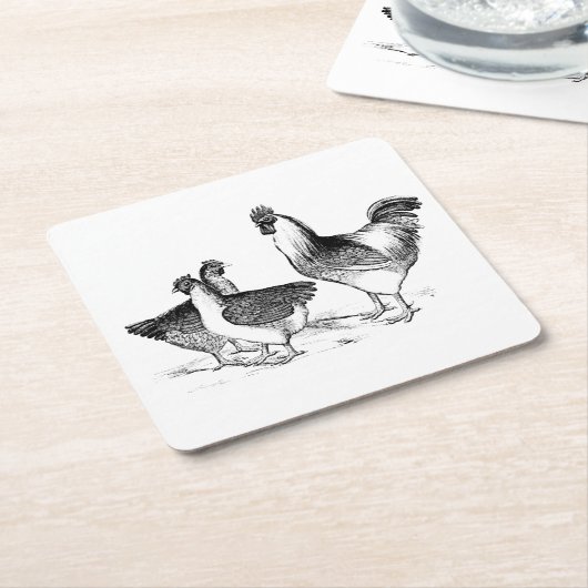 農家の素朴な鶏の動物のキッチン スクエアペーパーコースター (アングル)