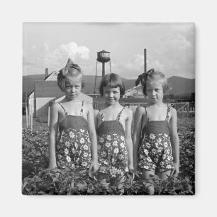 農家のDaughters 1939年 マグネット