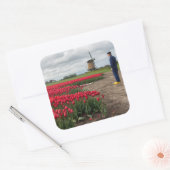 農家はチューリップと風車を調べている スクエアシール (封筒)