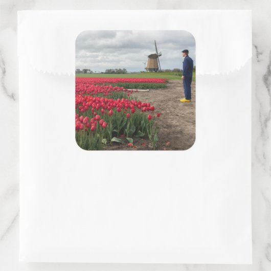 農家はチューリップと風車を調べている スクエアシール (バッグ)