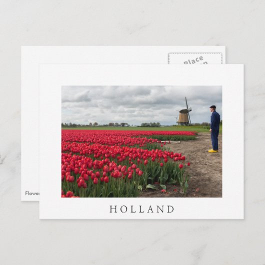 農家はチューリップと風車を調べている ポストカード (正面/裏面)