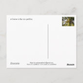 農家はプレアダックの彼のフィールドで ポストカード (裏面)